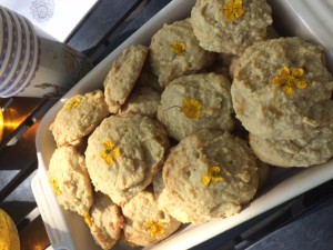 Chamomile cookies keep kids calm