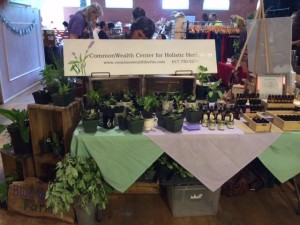 Kim is selling seedlings and Gavin is selling flower essences!